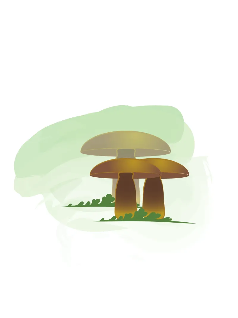 Funghi d'autunno pannello forex da Design Plaisirs