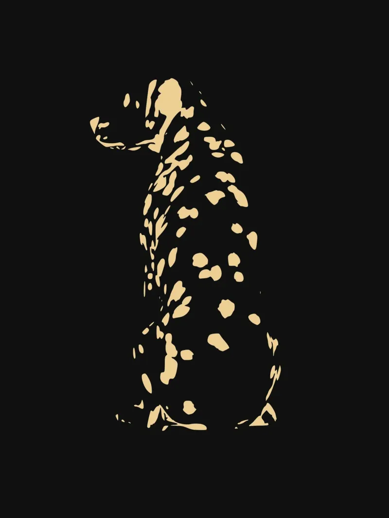 Dalmata d'oro 04 carta hahnemühle da Little Dean