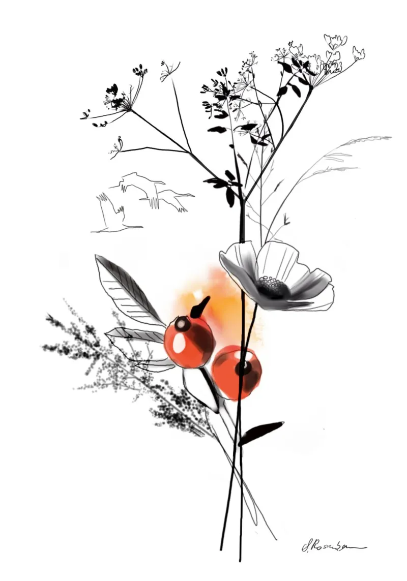 Uccelli migratori poster da SaraRosenbaum