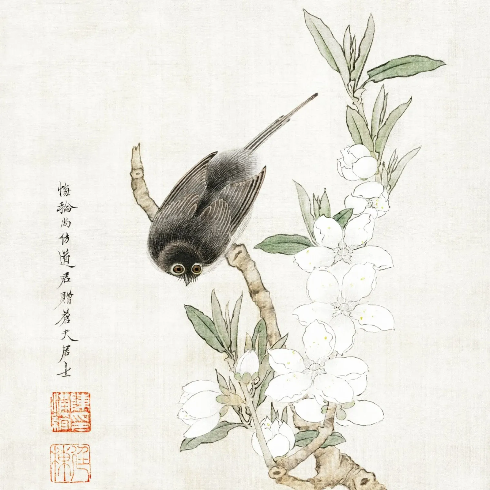 Bird on branch metacrilato de vintageshop