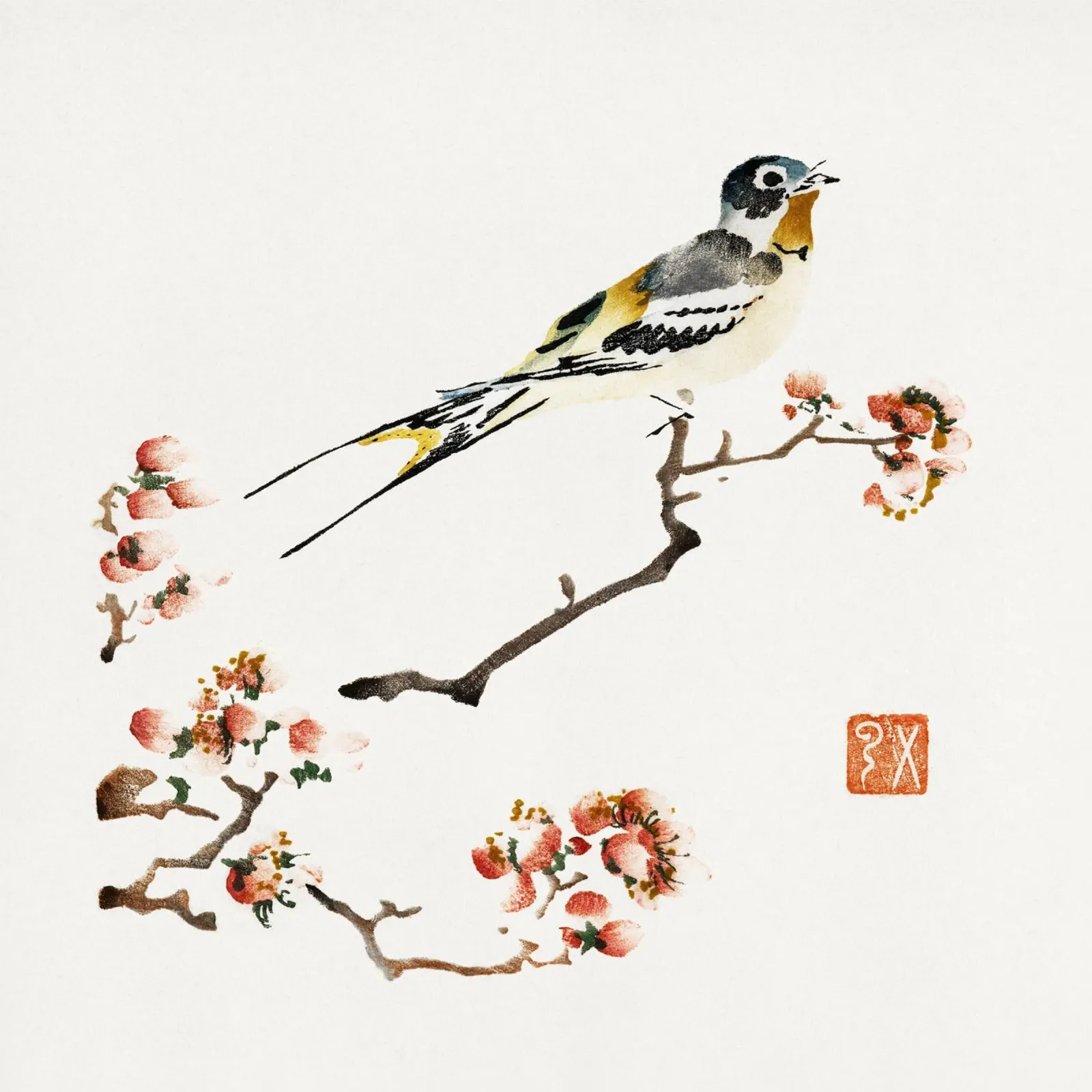 Swallow on a peach branch alluminio dibond da vintageshop