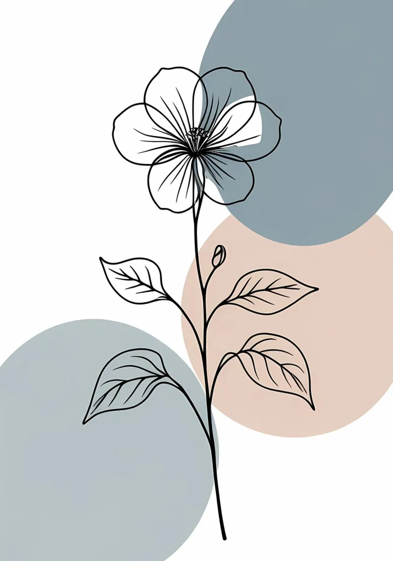 Line art minimalista di un singolo fiore di begonia pellicola backlit da Bloom And Brush