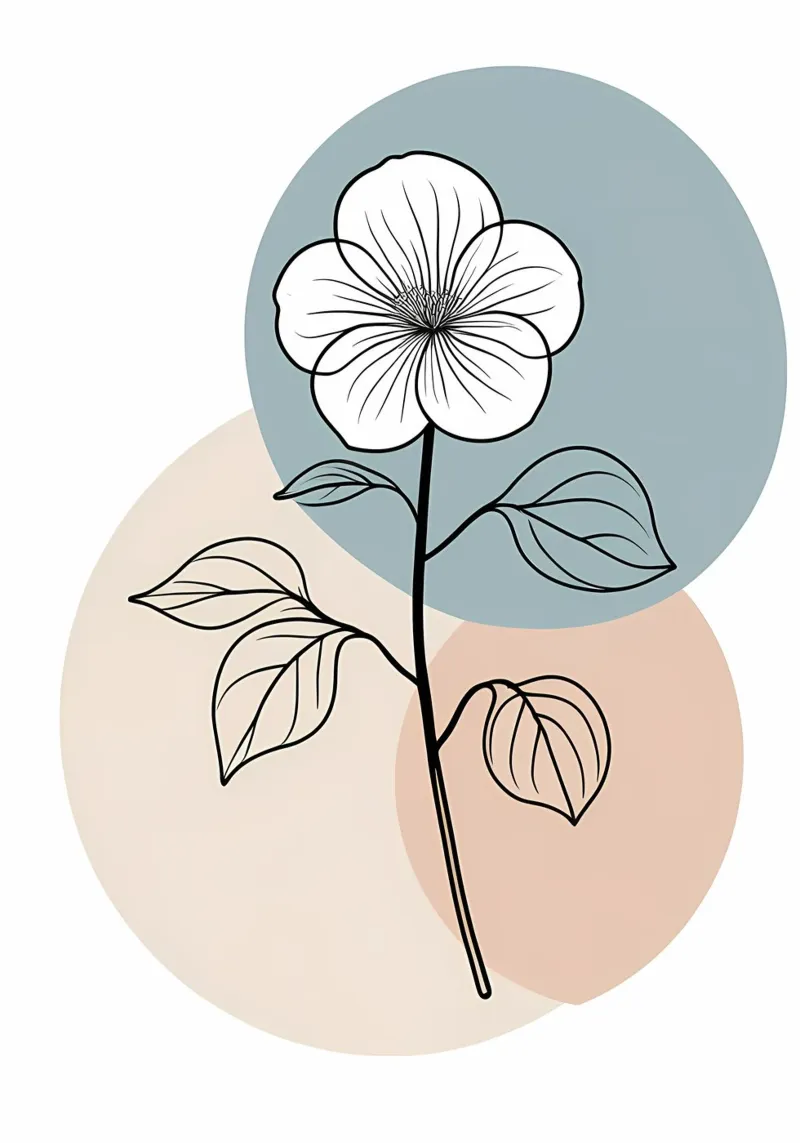 Minimalist line art of a single begonia flower canvas by Bloom And Brush