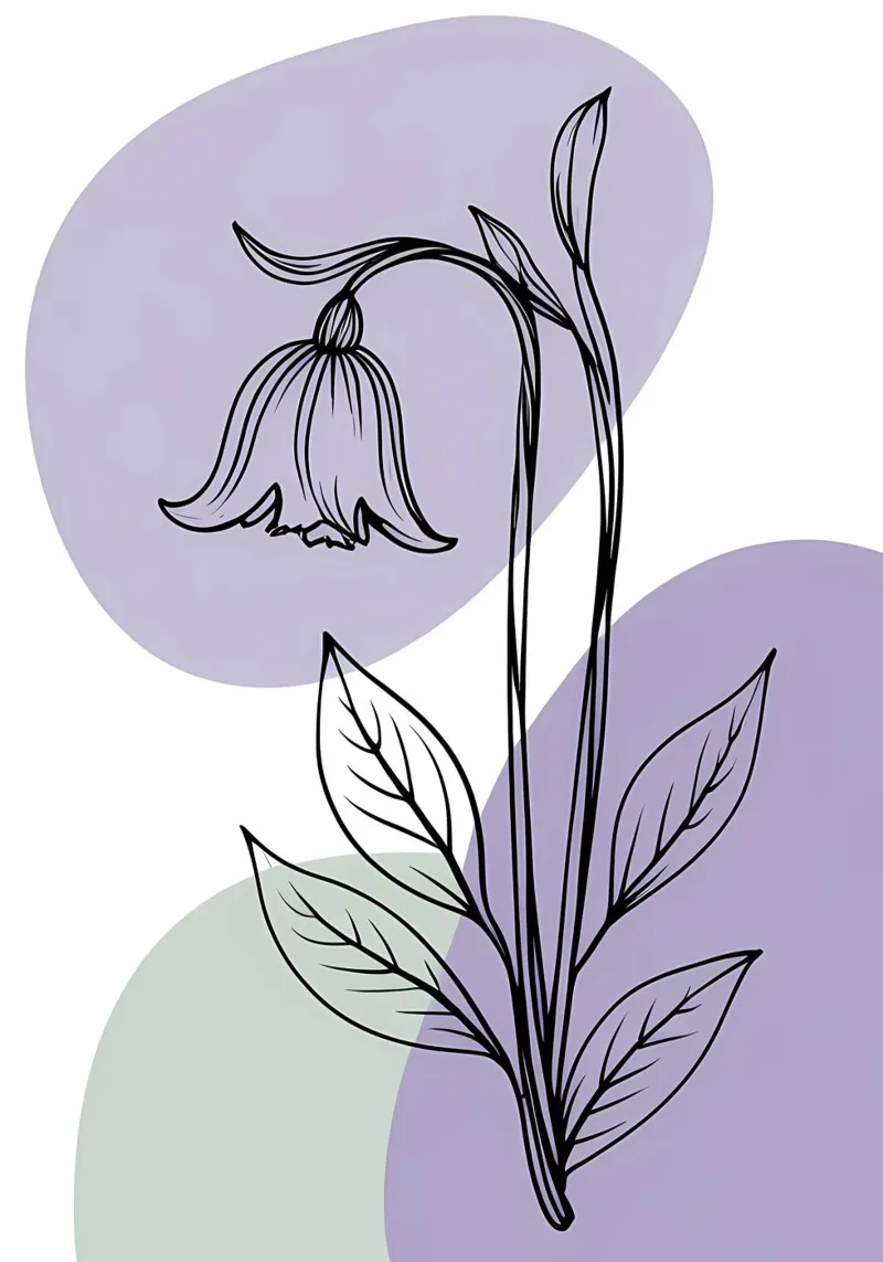 Line art minimalista di un singolo fiore di campanula pellicola backlit da Bloom And Brush