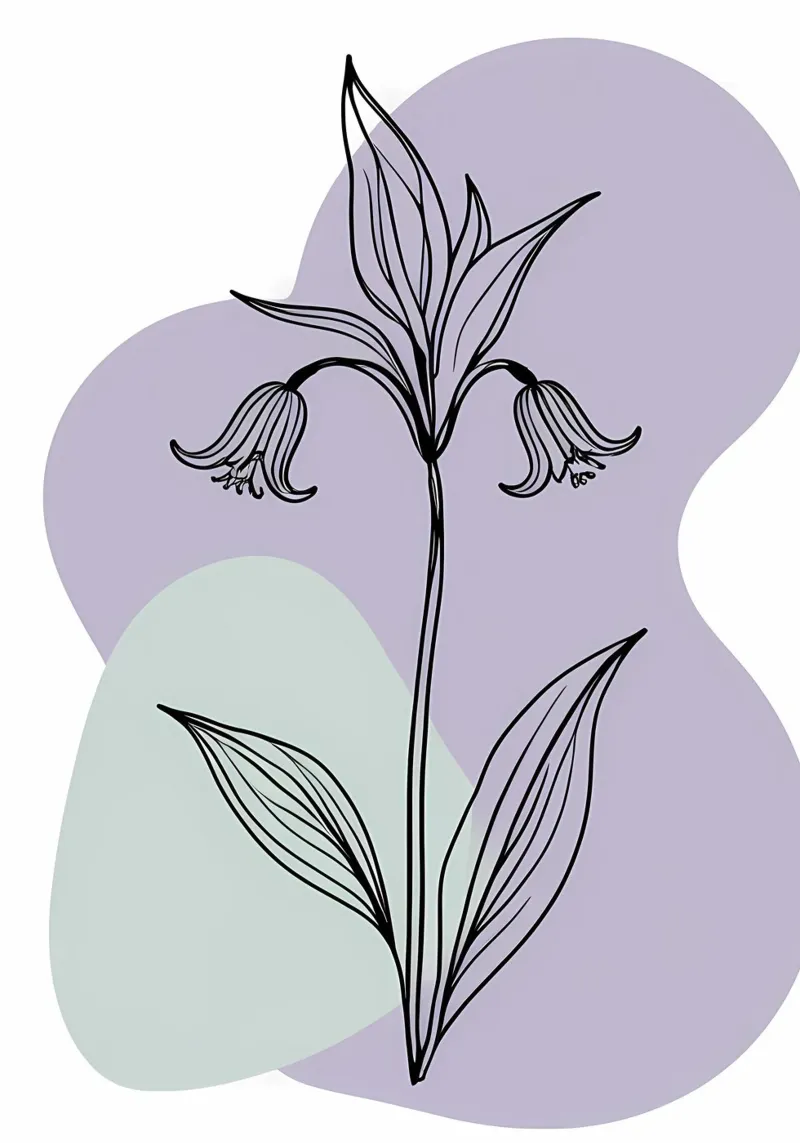 Line art minimalista di un singolo fiore di campanula pellicola backlit da Bloom And Brush