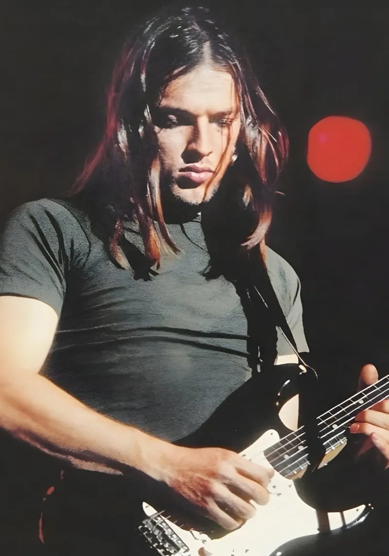 David Gilmour carta hahnemühle da The Poster Hub