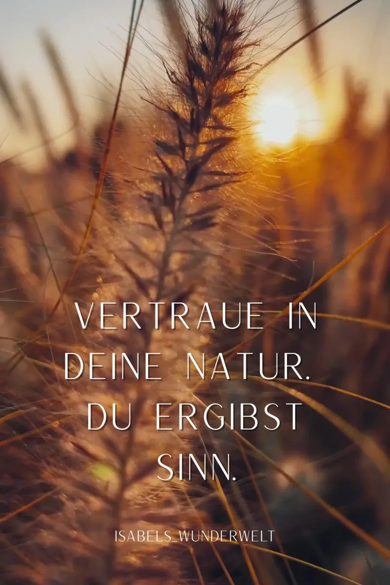 Vertraue in die Natur pellicola backlit da AESTHETIC VIBES by Isabel