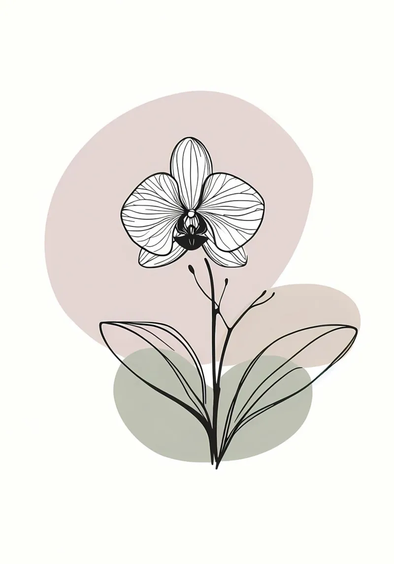 Line art minimalista di un singolo fiore di orchidea pannello forex da Bloom And Brush