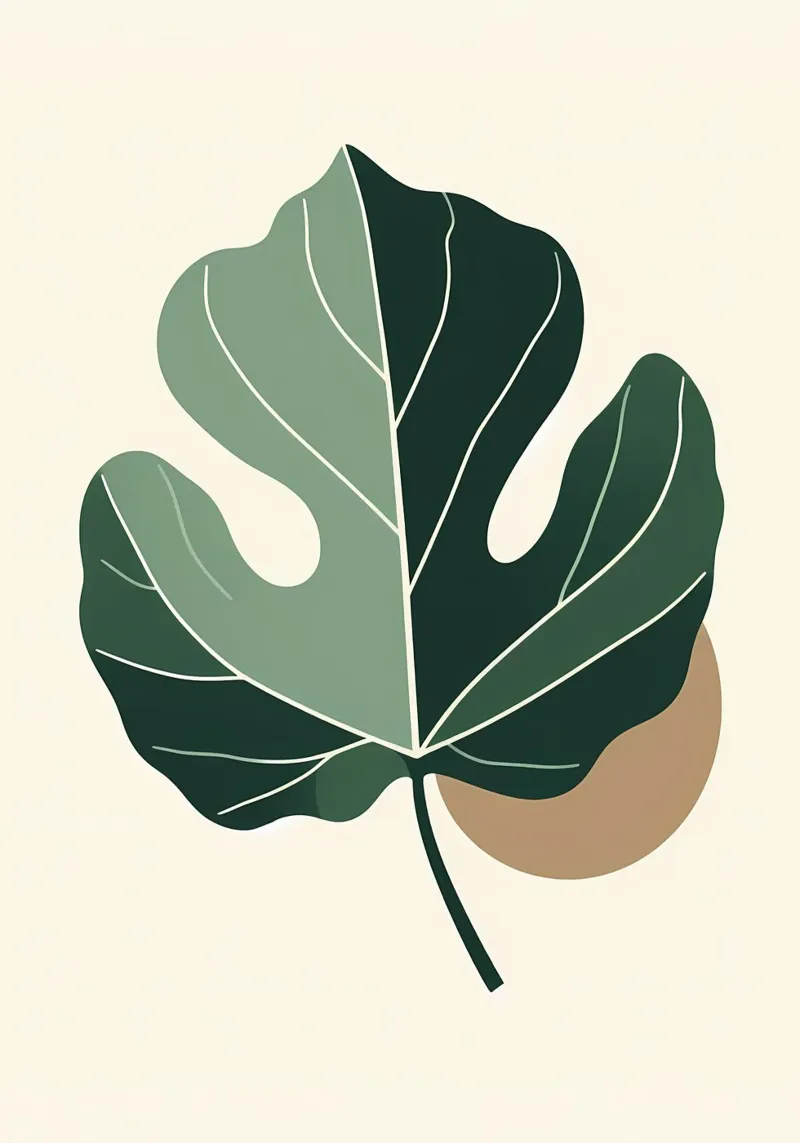 Minimalist illustration of a single fiddle leaf fig canvas by Bloom And Brush