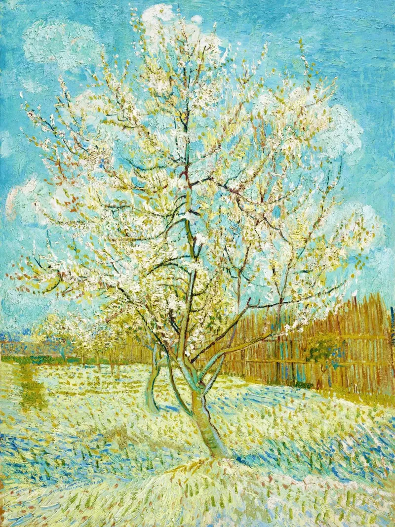Vincent van Gogh’s The Pink Peach Tree alluminio dibond da Classic Art Prints