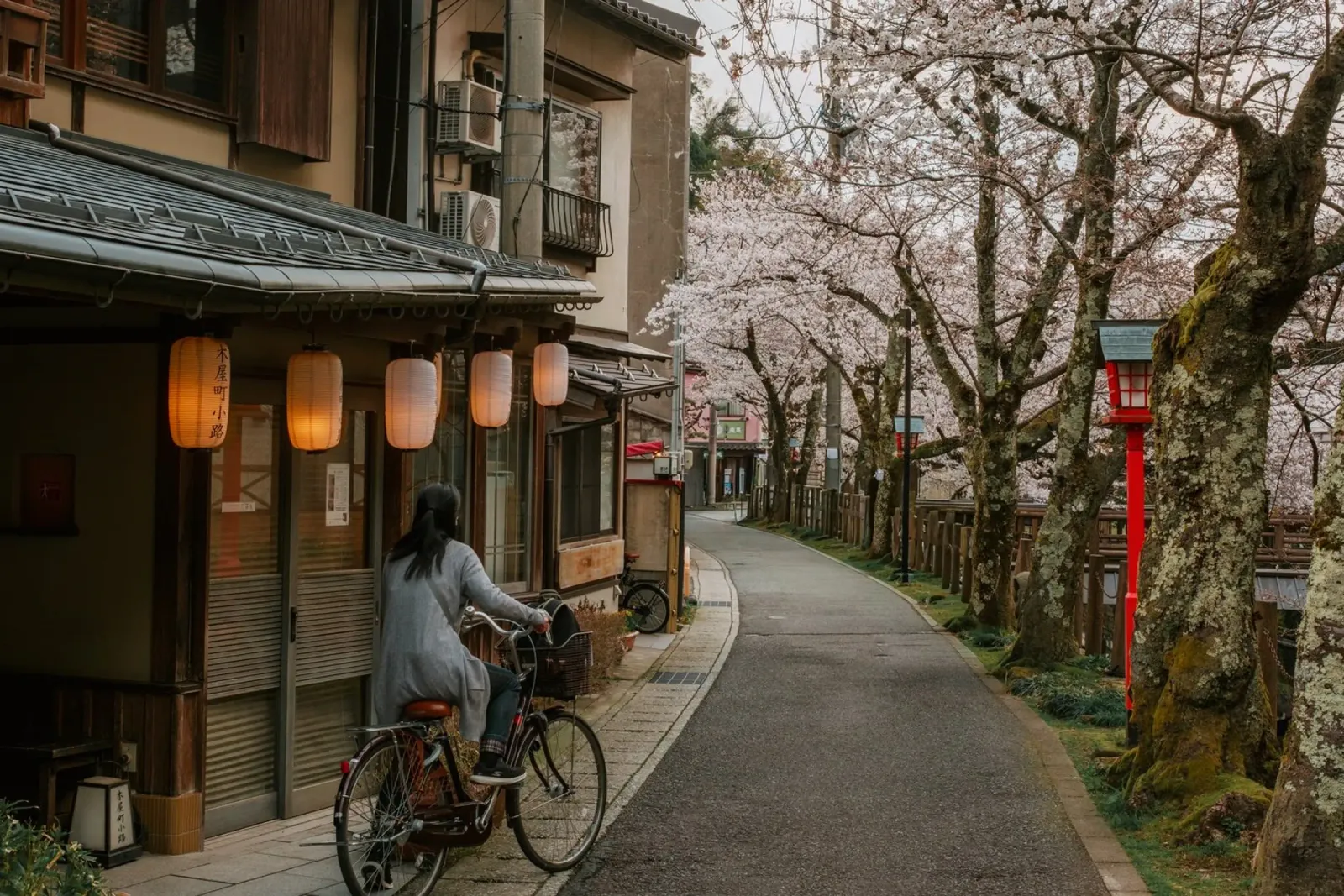 Kinosaki Onsen Fiori di ciliegio, Giappone alluminio dibond da Marcel Bisig