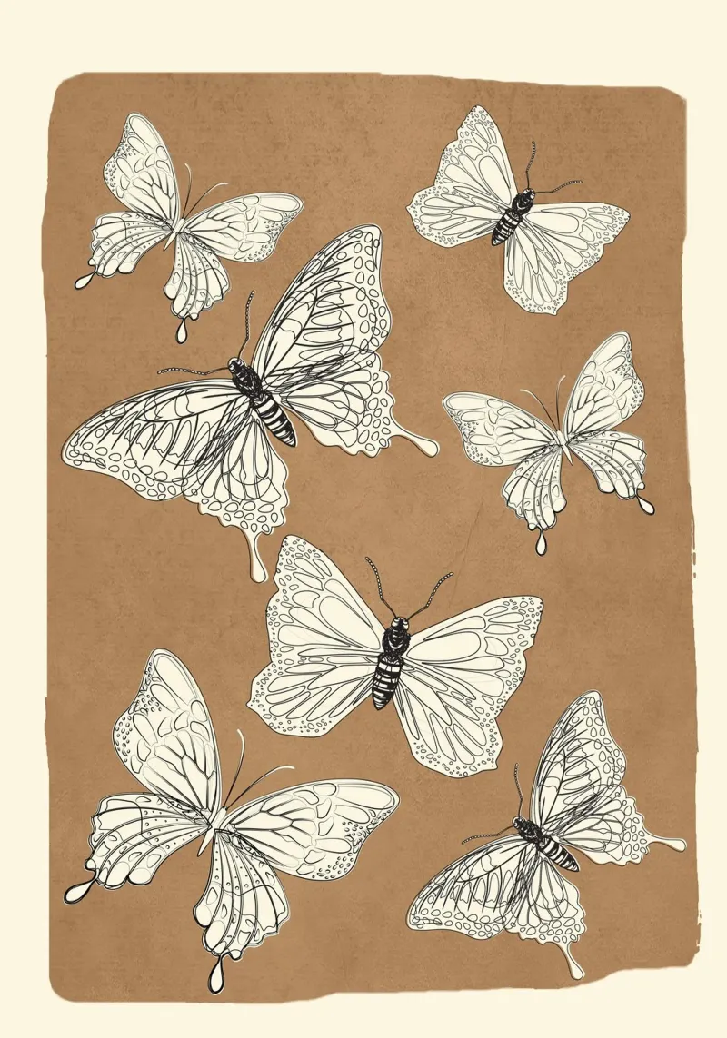 Flying Butterflies 2 carta hahnemühle da Nadjaa