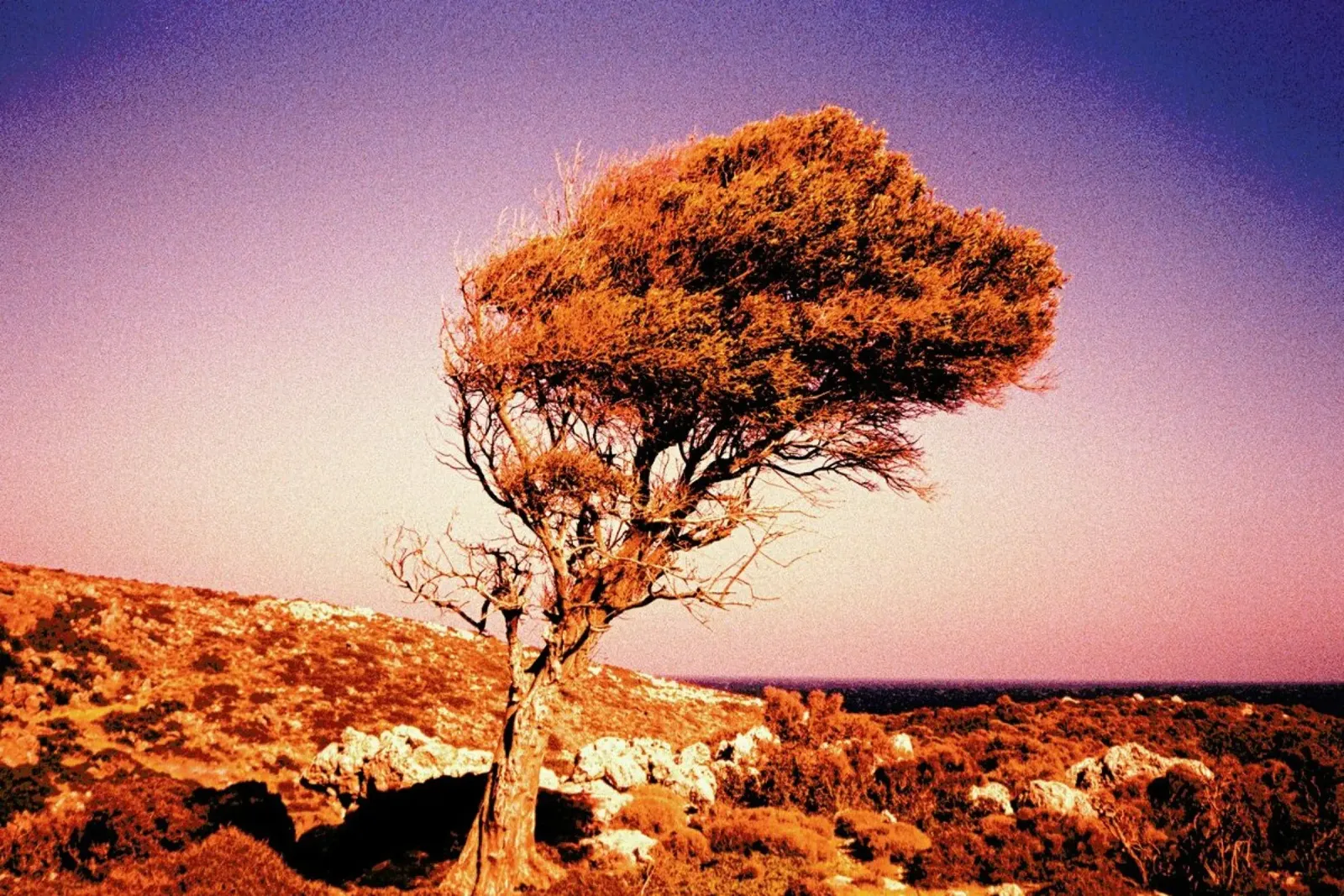 Crete Heat aluminium-dibond van BLAEK Design Studio