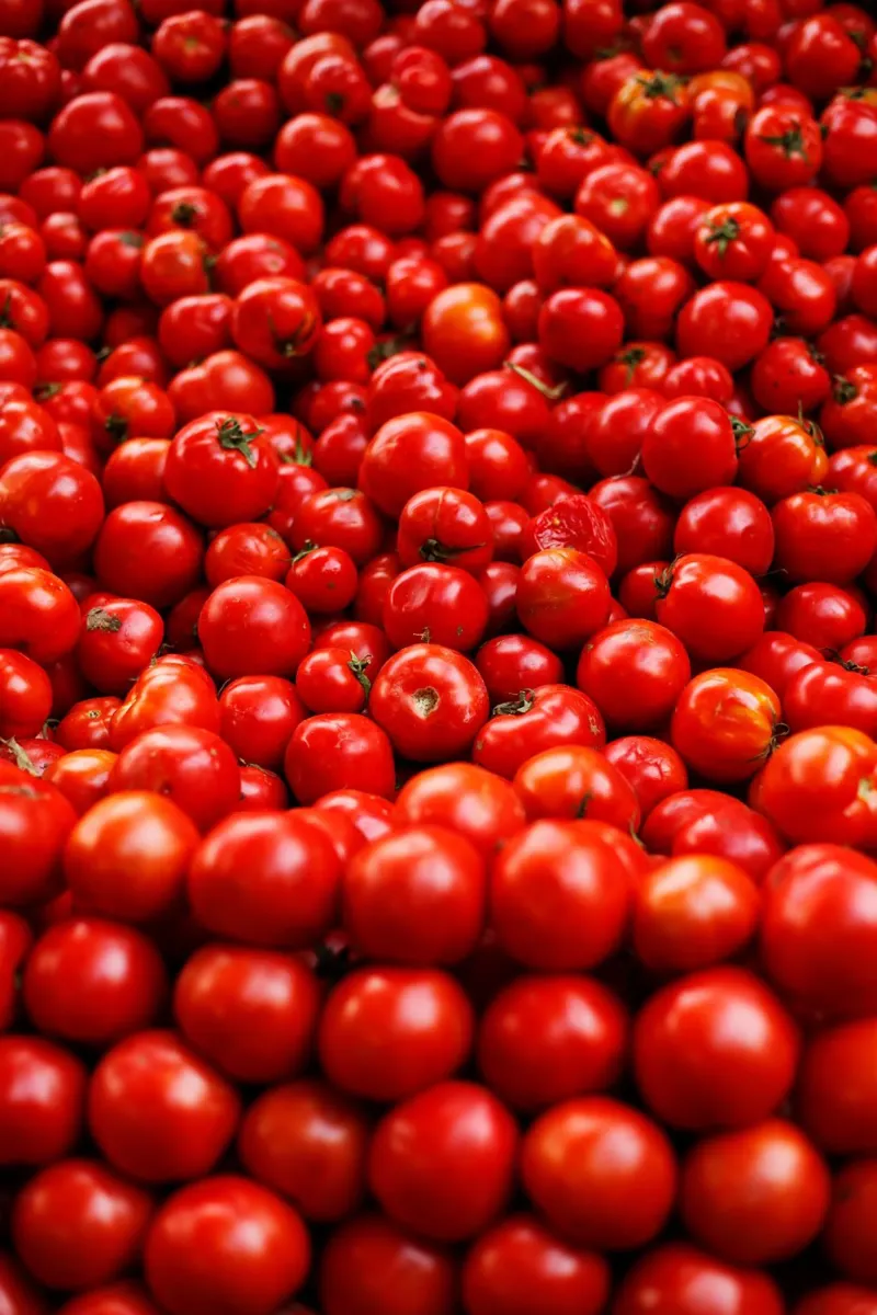 Pomodori al Cairo (Egitto) carta hahnemühle da Simon Koy