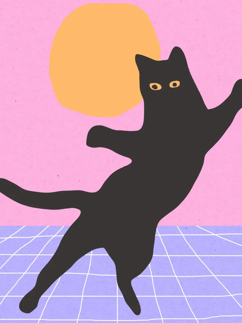 Disco Cat pellicola backlit da Kim Hubball Studio
