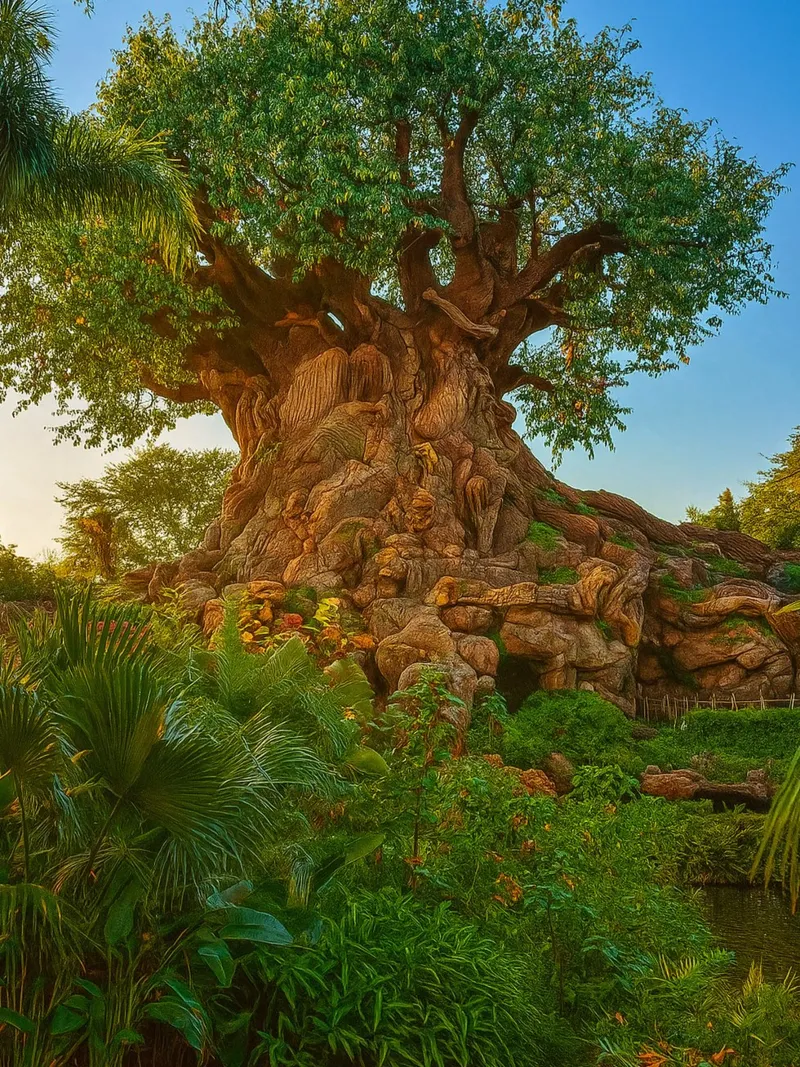 vecchio albero nella foresta carta hahnemühle da tamarind