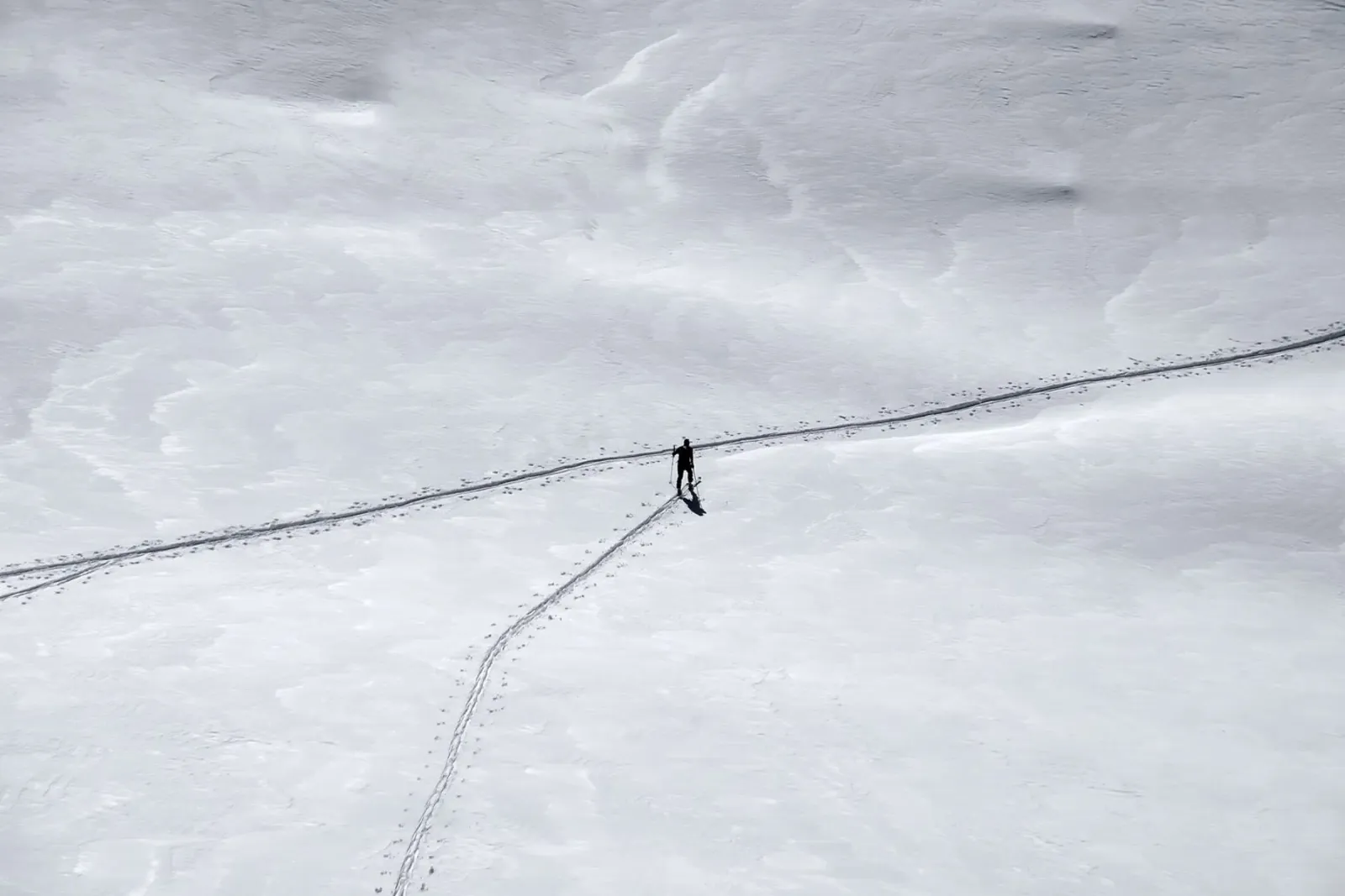 Lonely Skier in the Alps pellicola backlit da Fjöllart