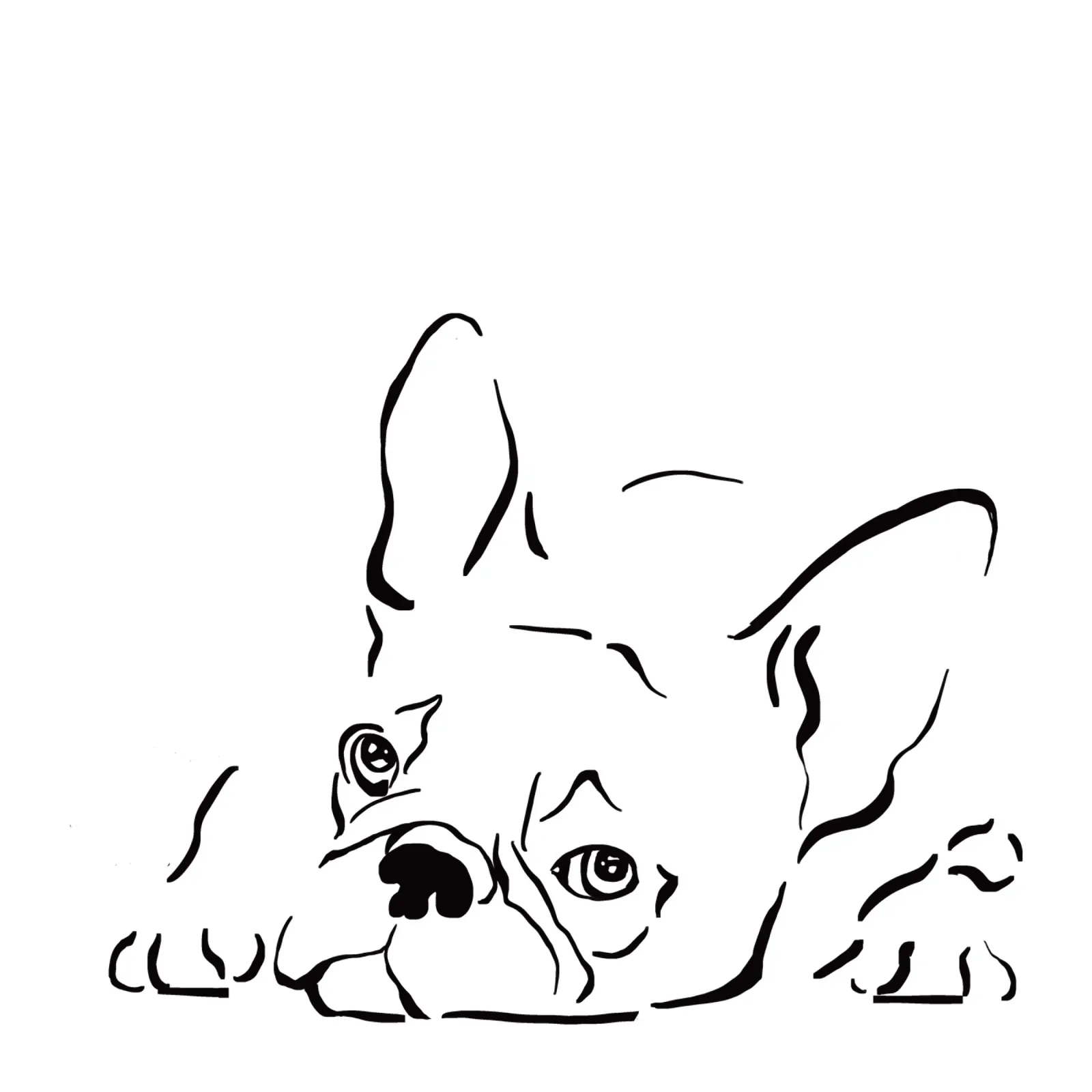 French bulldog dog drawing line art black white canvas by Studio Patruschka