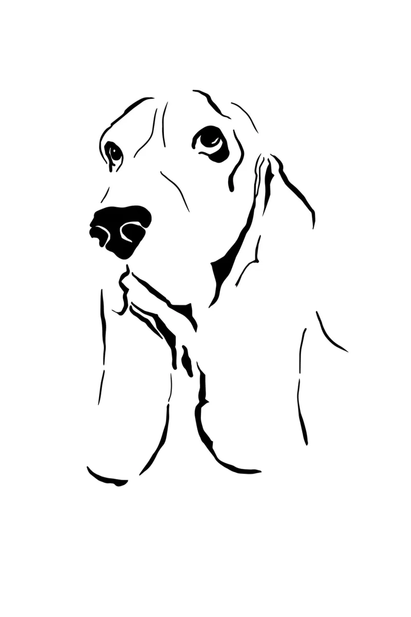 Basset hound perro dibujo línea de arte negro blanco hahnemühle de Studio Patruschka
