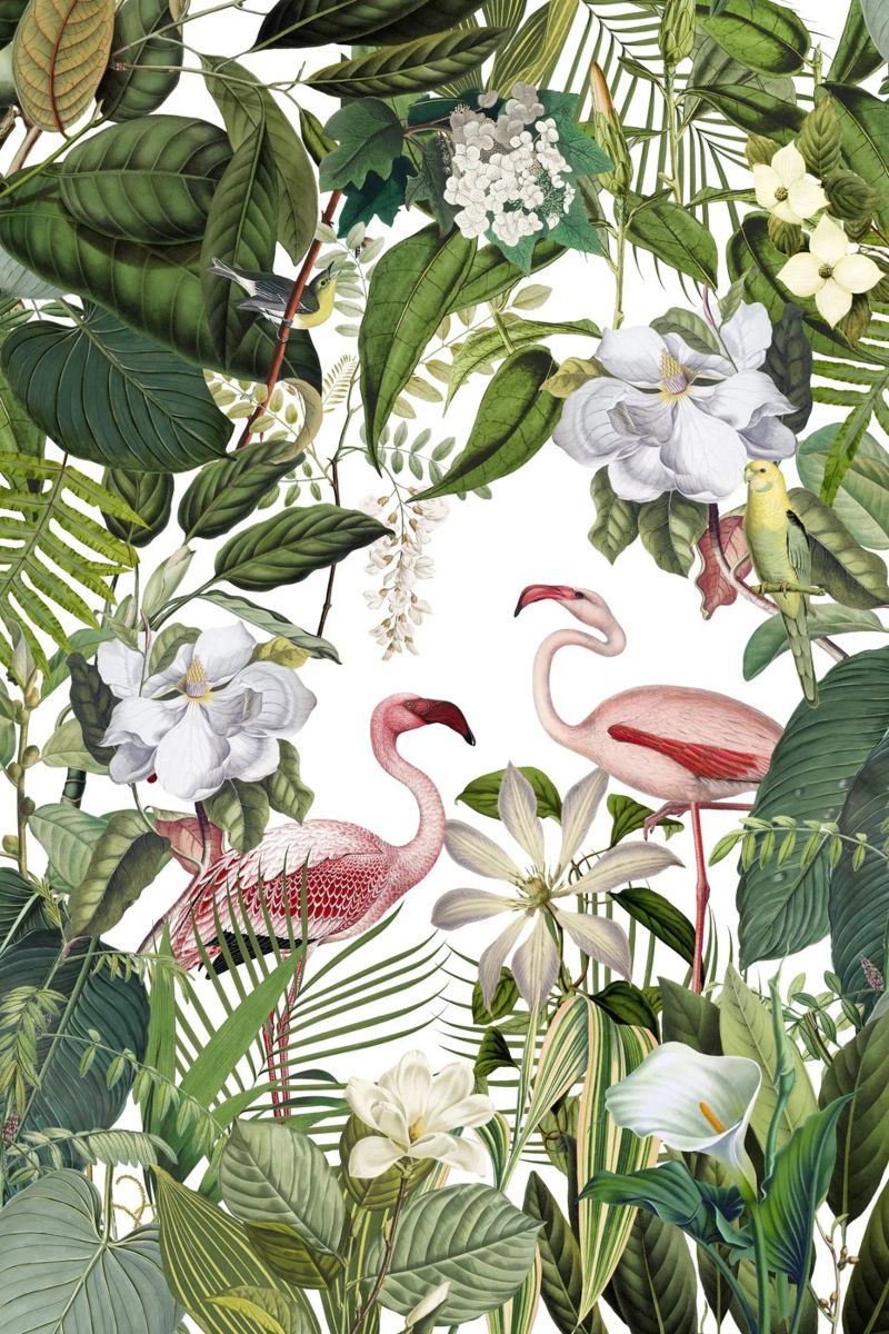 Vintage Flamingo Tropical Oasis poster de Andrea Haase Vintage World