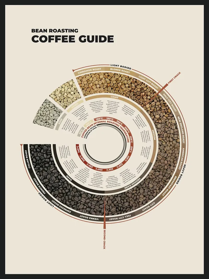 Guida alla tostatura del caffè in grani carta hahnemühle da stewar