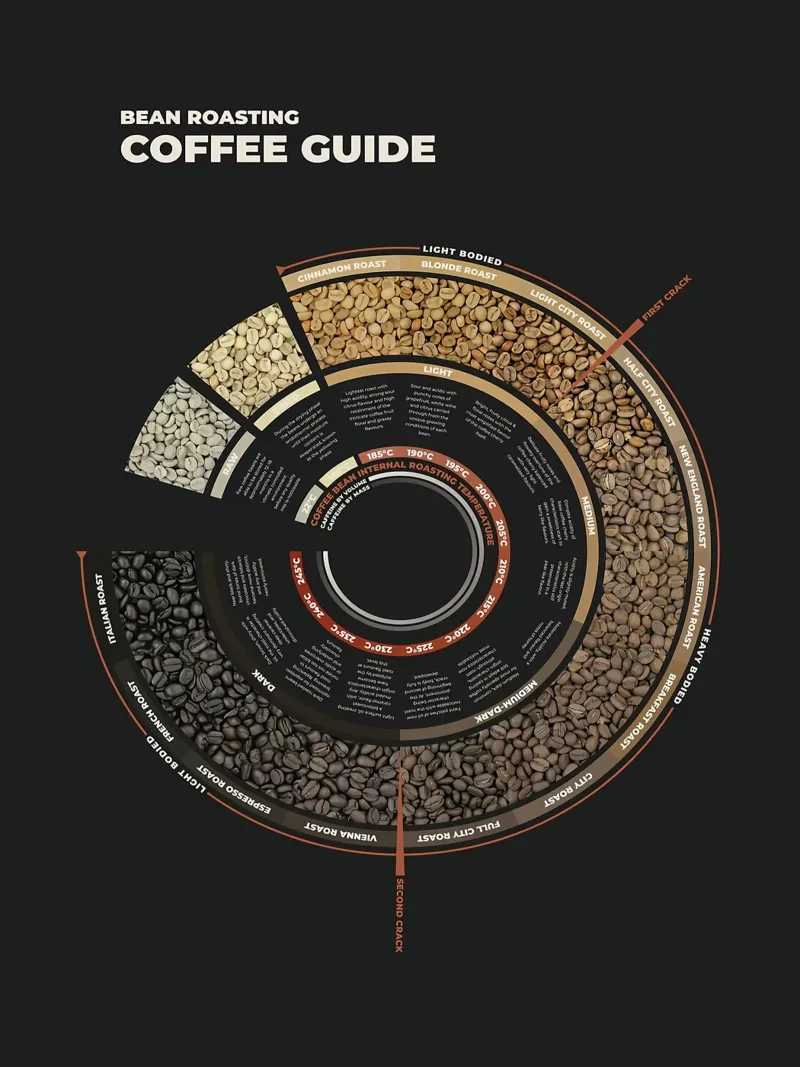 Guida alla tostatura del caffè in grani carta hahnemühle da stewar