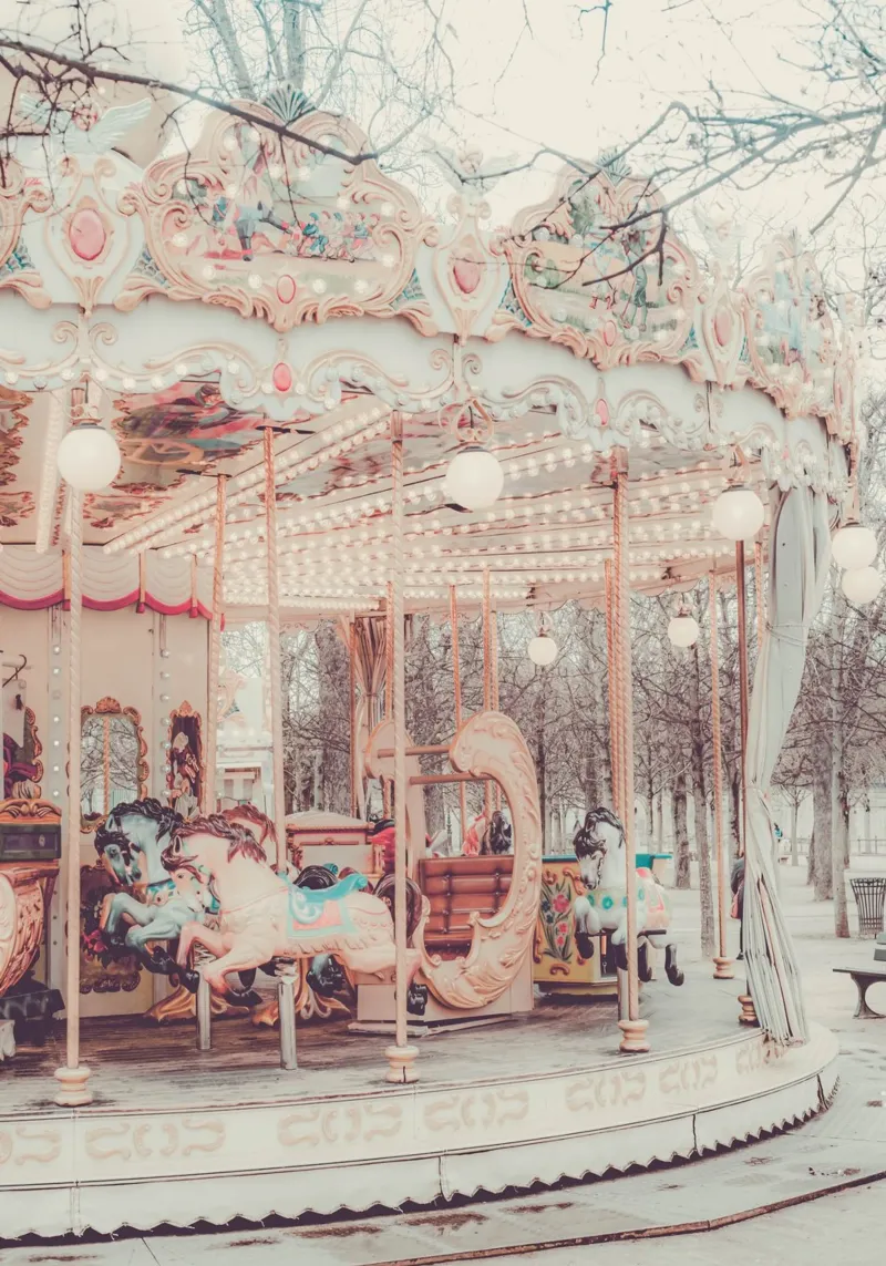 Paris Carousel alluminio dibond da GraceDigitalArtCo