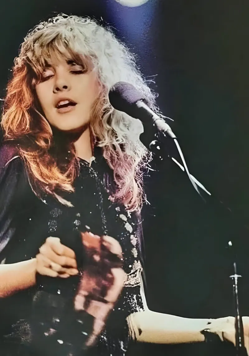 Stevie Nicks poster da The Poster Hub