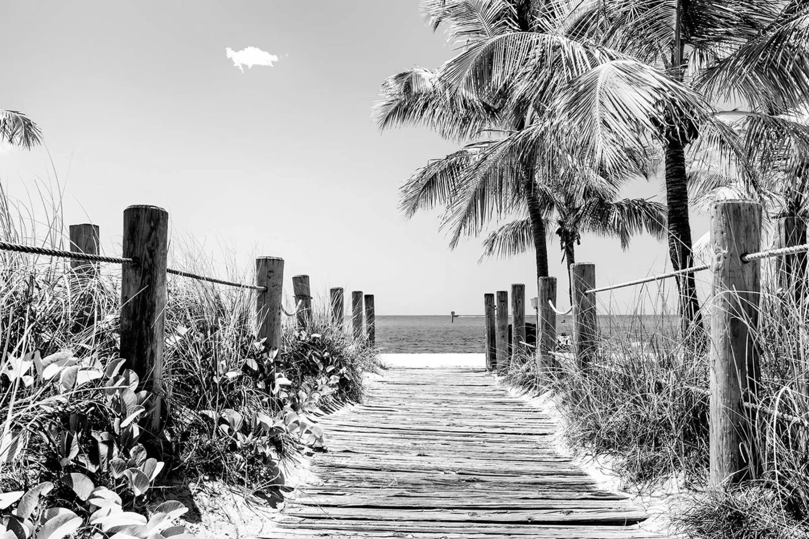 Florida nera - Spiaggia di Key West poster da Brant Varner