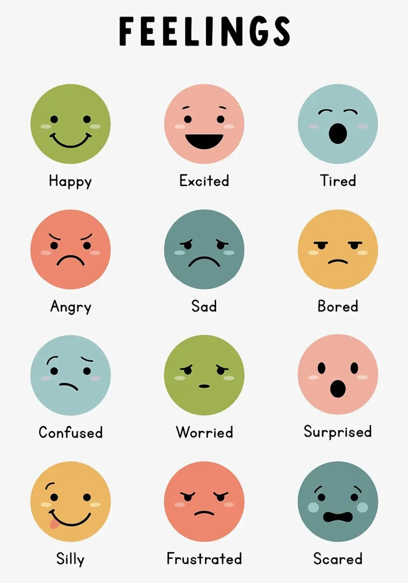 Grafico delle emozioni plexiglass da bazi
