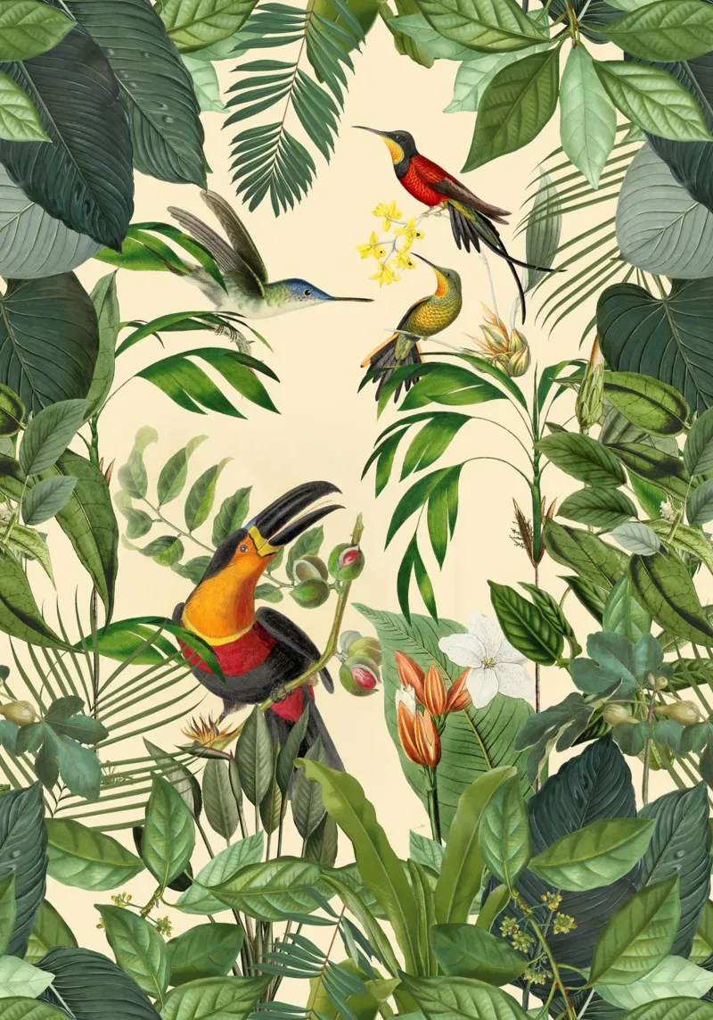 Toucans And Hummingbirds Paradise pellicola backlit da Andrea Haase Vintage World