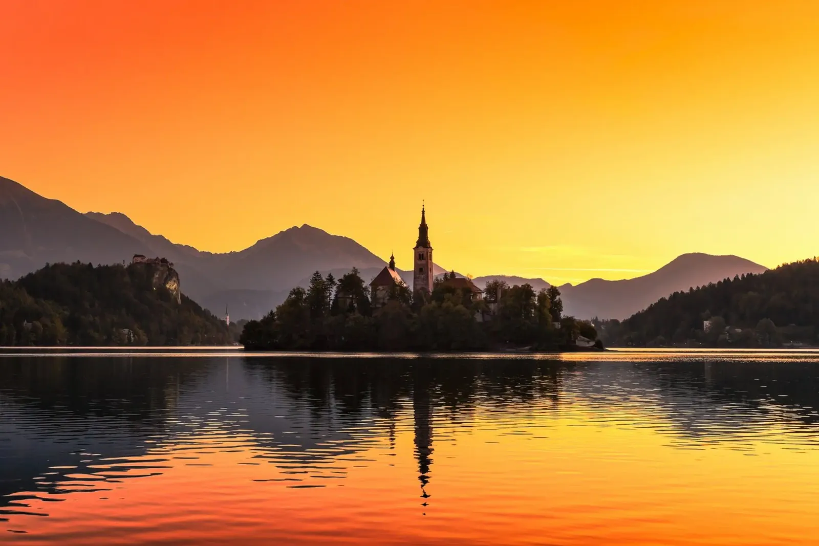 BLED 01 alluminio dibond da Tom Uhlenberg