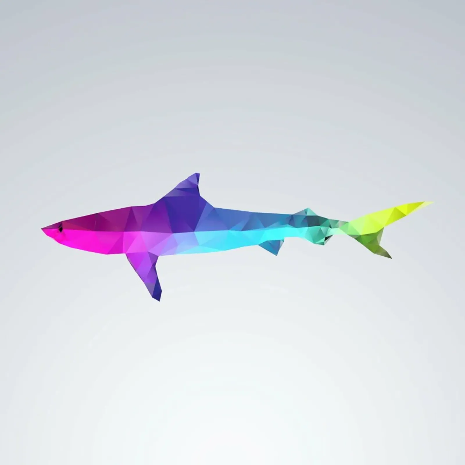 Glass Animals - Shark poster con telaio in legno da Three Of The Possessed