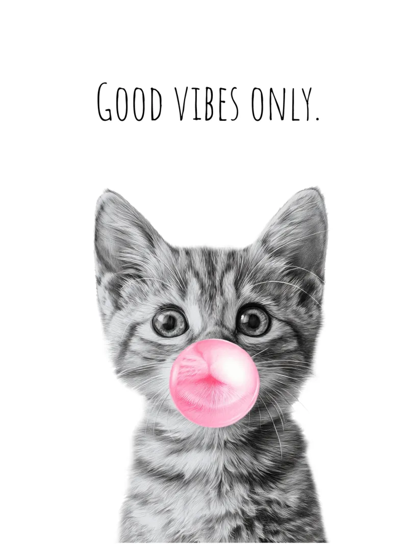 Cool cat - Good Vibes Only - rosa pannello forex da Melanie Viola