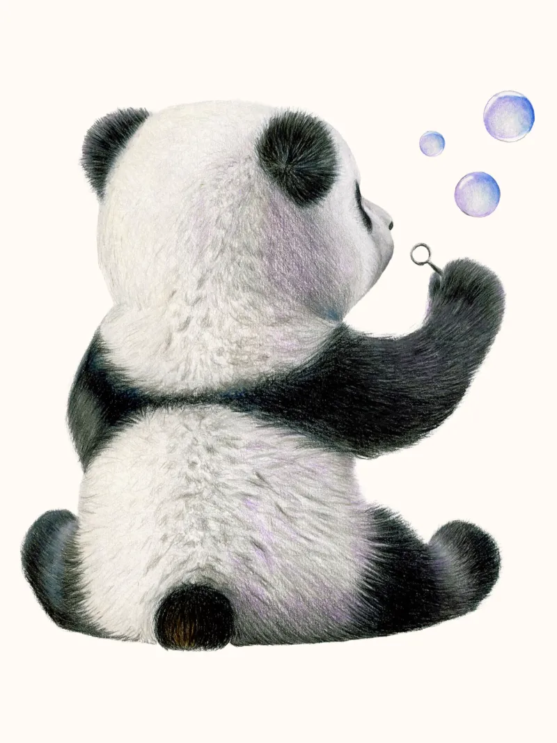 Pandakind mit Seifenblasen Hahnemühle von Graphit und Farbe