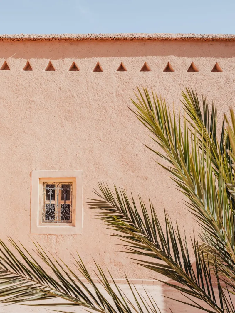 Palm, wall and window in Morocco lámina retroiluminada de photolovers