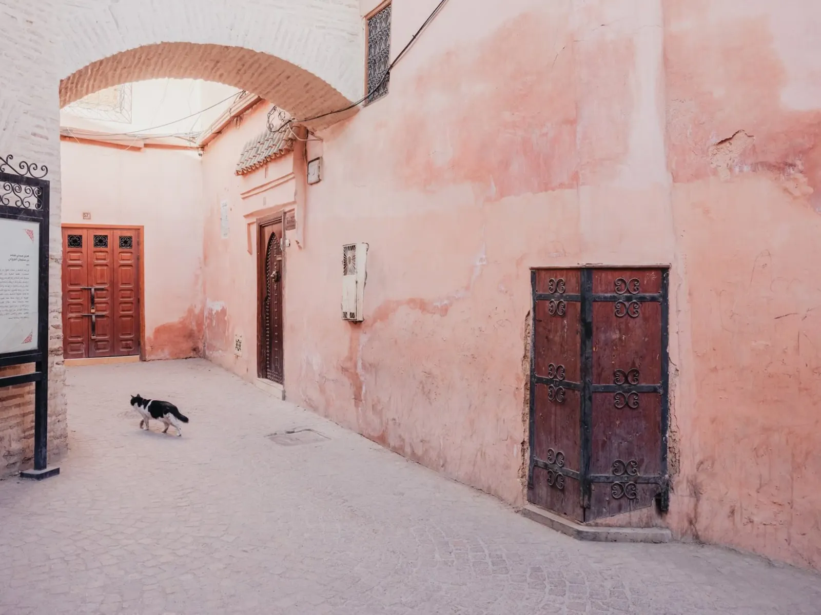 Cat in the medina of Marrakesh pellicola backlit da photolovers