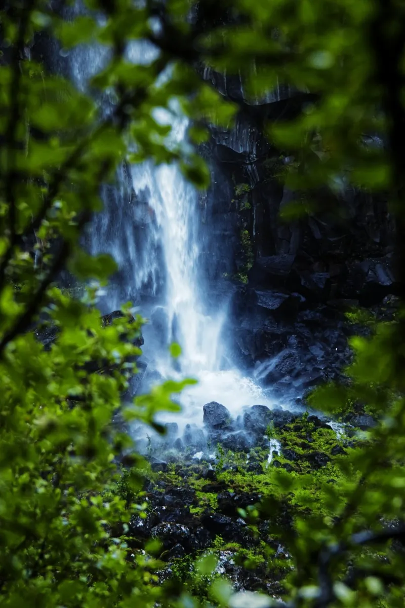Window to the waterfall pellicola backlit da Fjöllart