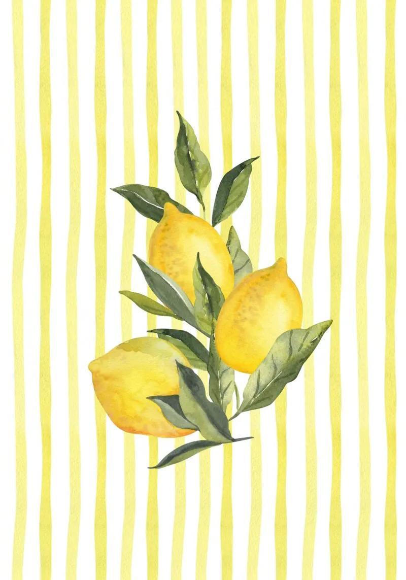 Maximalista Limone a grappolo Acquerello Giallo a righe Cucina Ar carta hahnemühle da dawnthesea