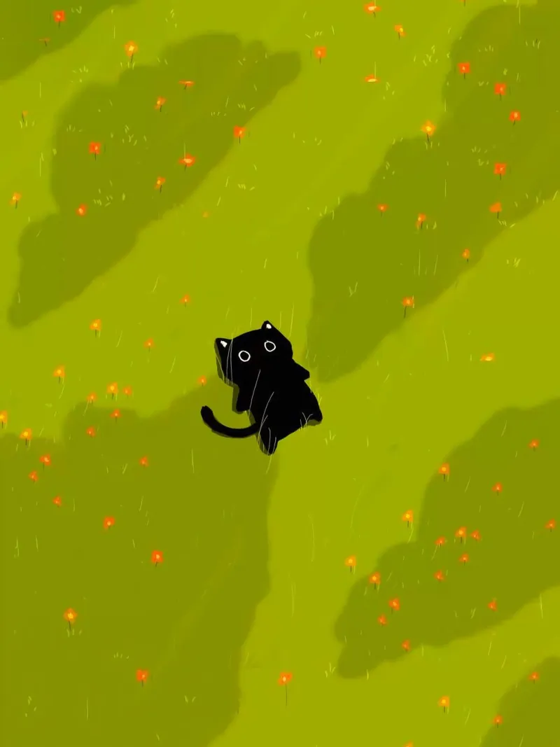 chill cat on green field hahnemühle de Fost