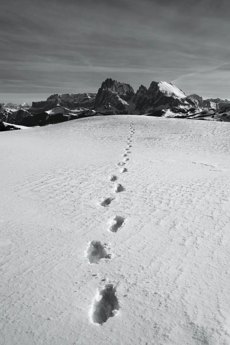 Footprints in the snow poster con telaio in legno da Fjöllart