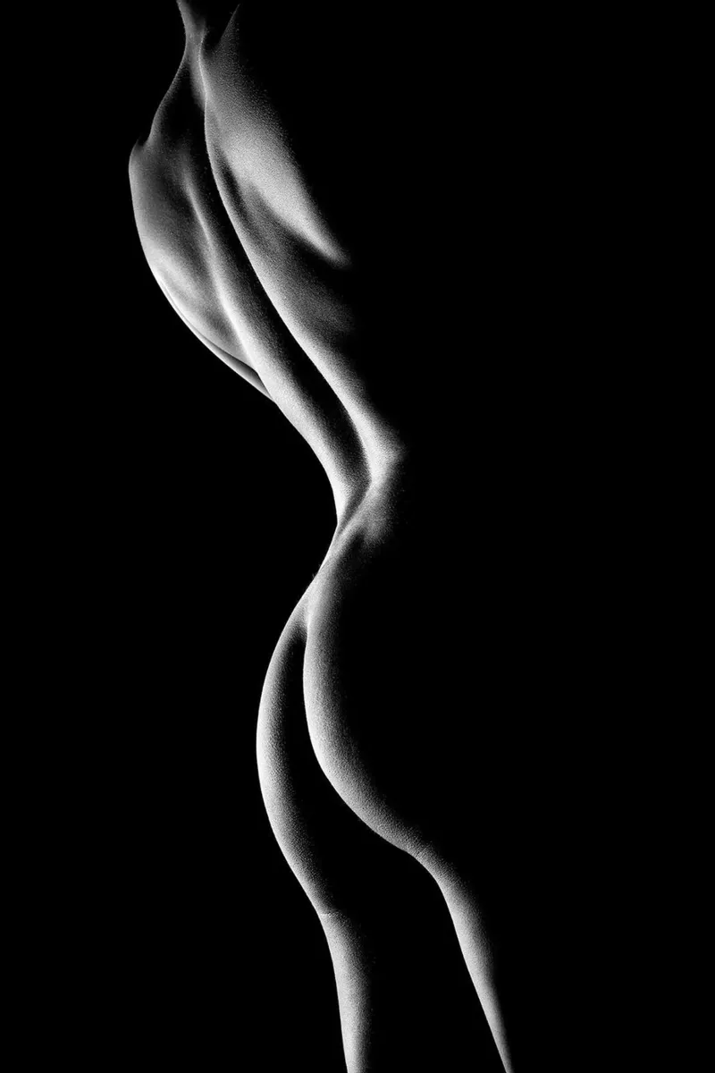 Sagome di una donna nuda alluminio dibond da Lora