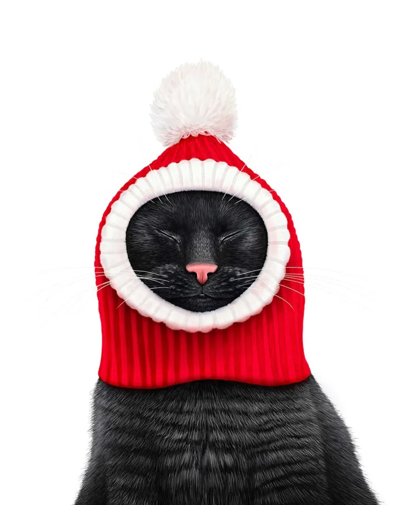 Gatto nero con cappello rosso carta hahnemühle da Leonard