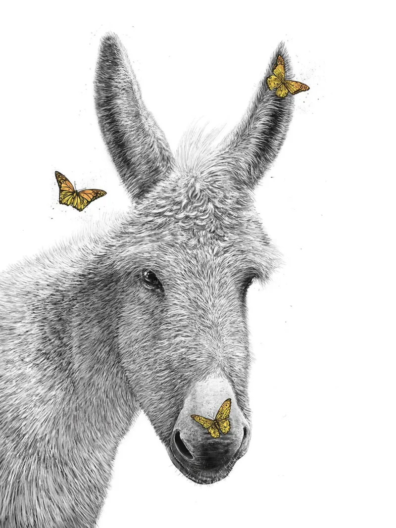 Asino con farfalla carta hahnemühle da Leonard