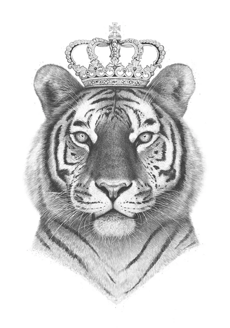 Re Tigre carta hahnemühle da Leonard