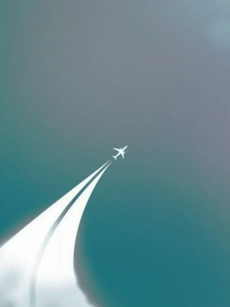 curve line plane alluminio dibond da marty