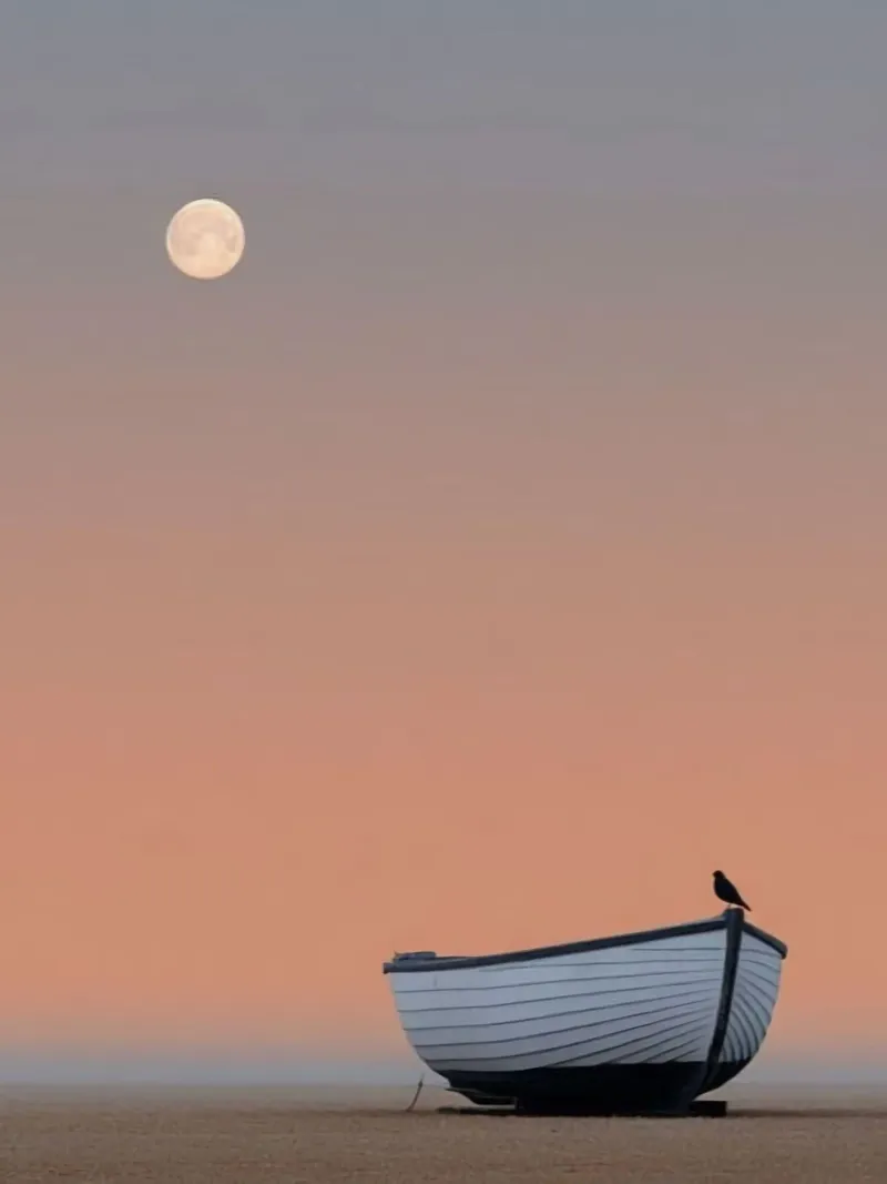 boat with moon pellicola backlit da marty