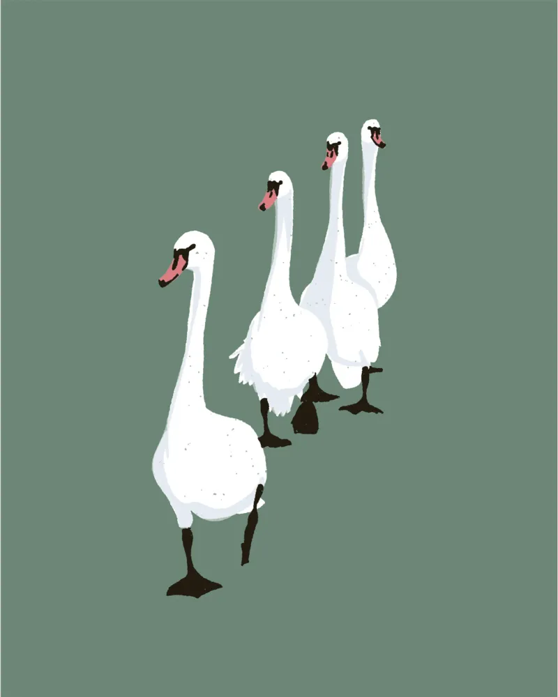Swan Parade Design minimalista Bujaboom carta hahnemühle da bujaboom