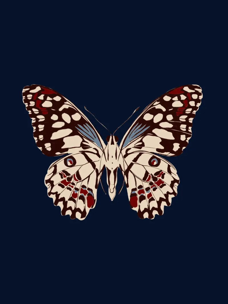 Schmetterling Dunkelblau carta hahnemühle da Sophie Augustin Illustration