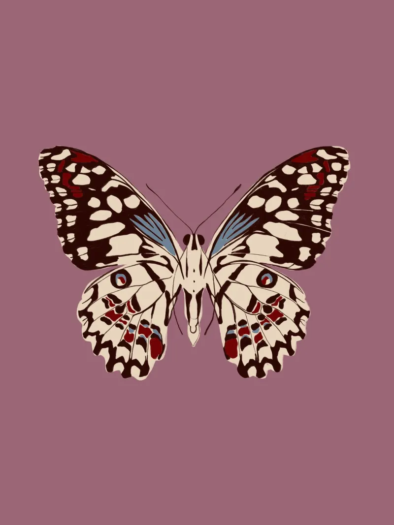 Schmetterling Altrosa carta hahnemühle da Sophie Augustin Illustration